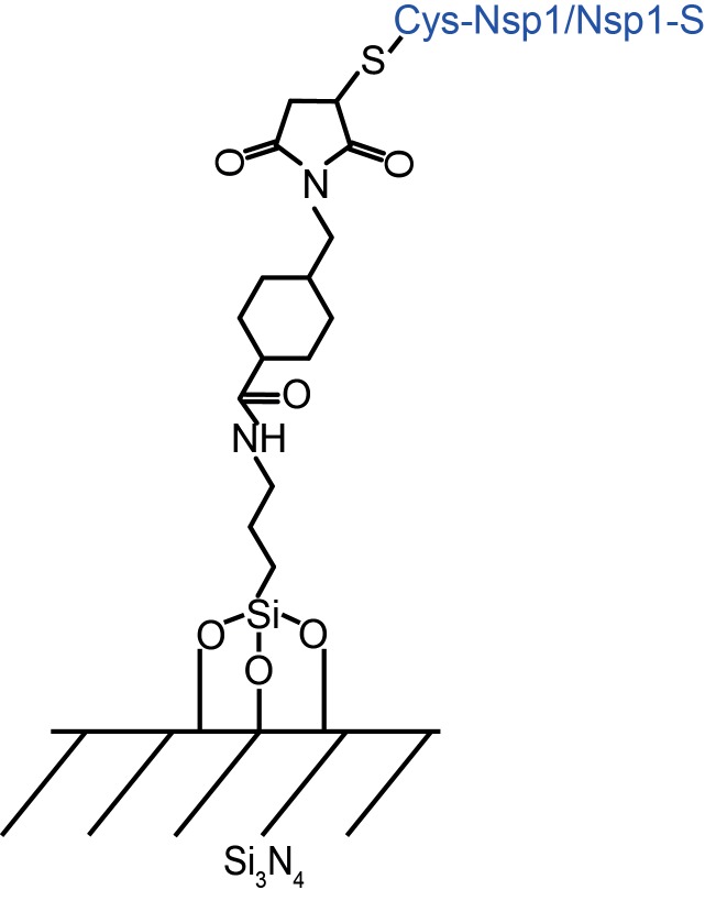 Figure 1—figure supplement 1.