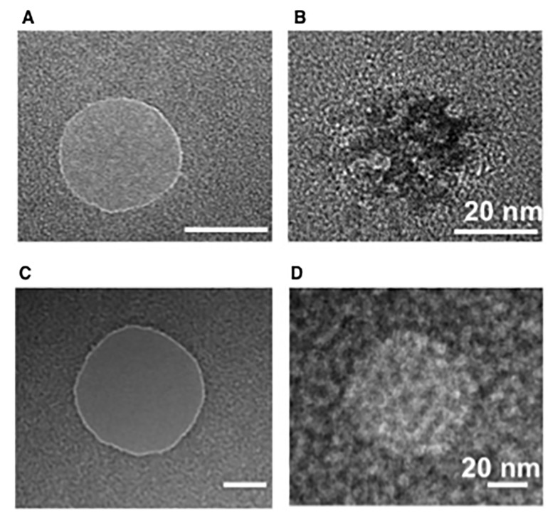 Figure 1—figure supplement 3.