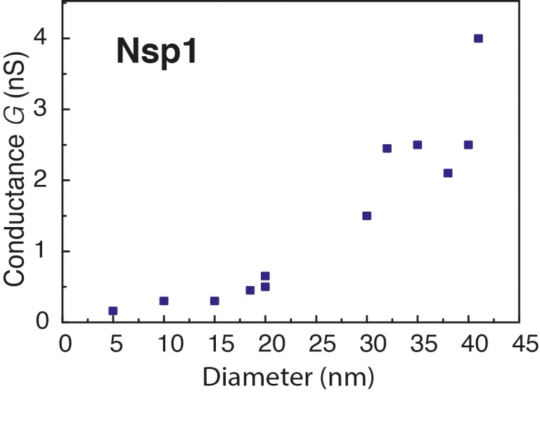 Figure 3—figure supplement 1.