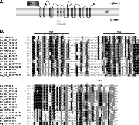 FIGURE 1.