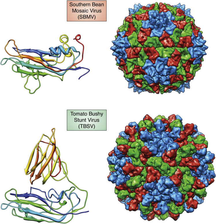 Figure 2