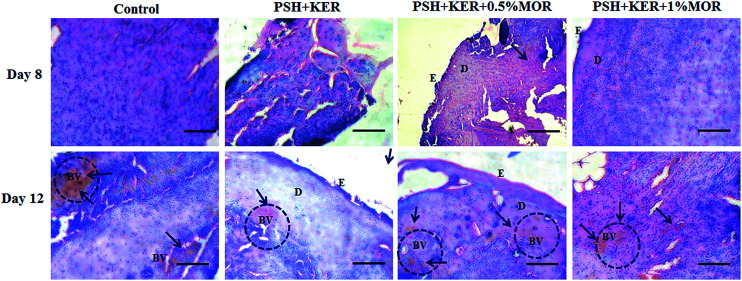 Fig. 7