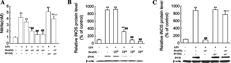 Fig. 8