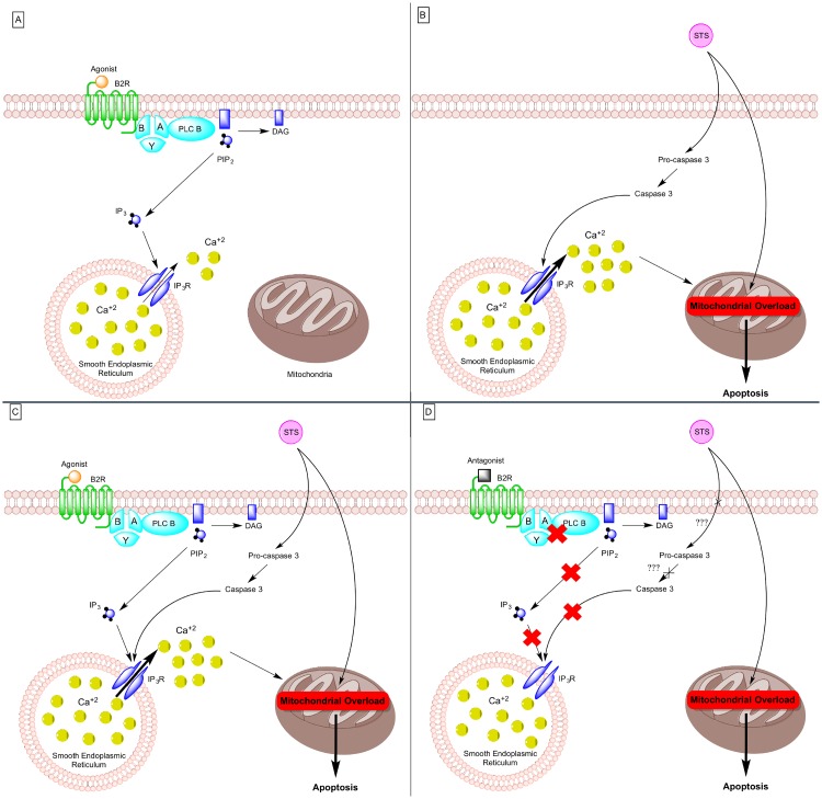 Fig 6