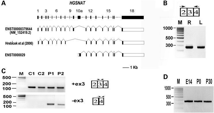 Figure 2.