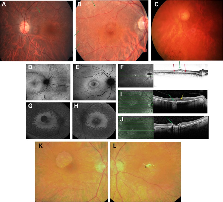 Figure 3.