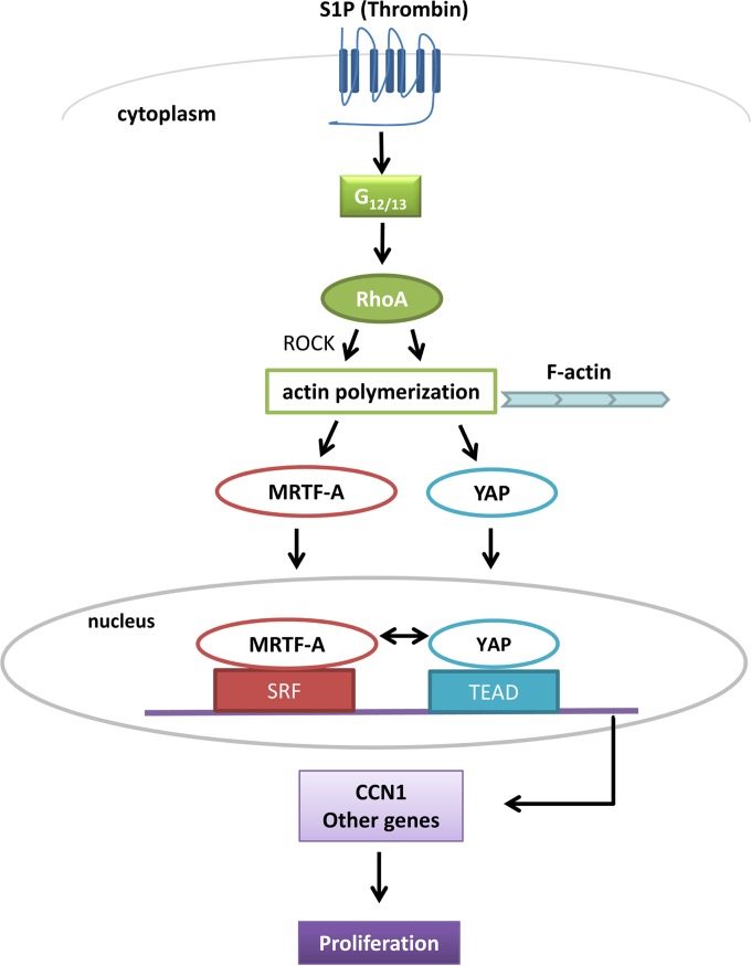 FIG 11