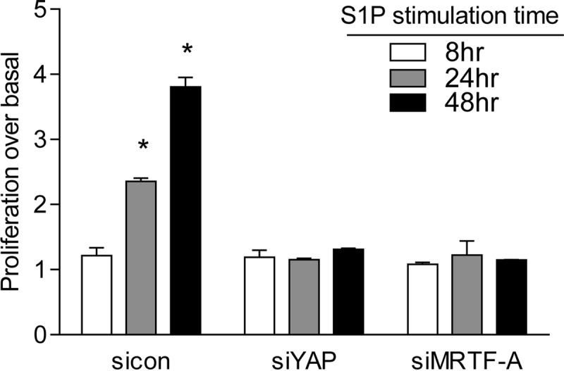 FIG 10