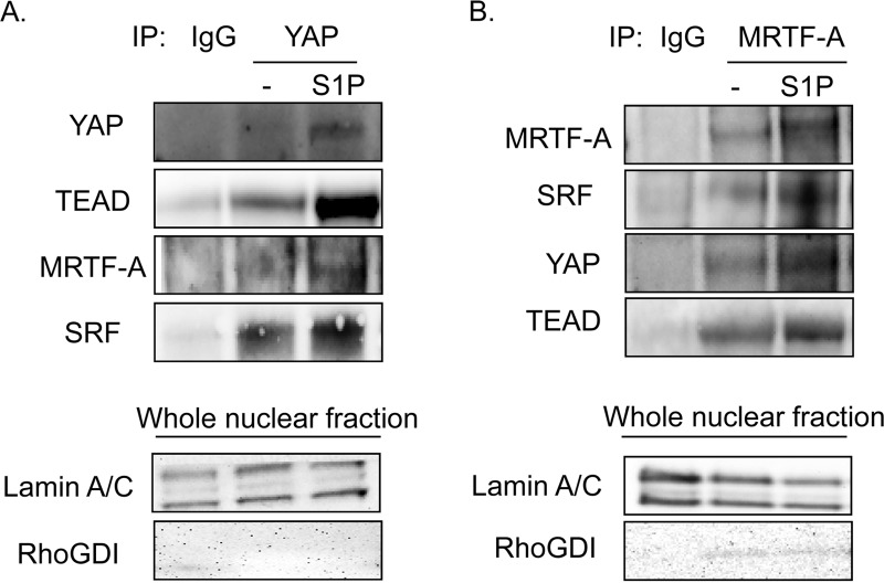 FIG 8