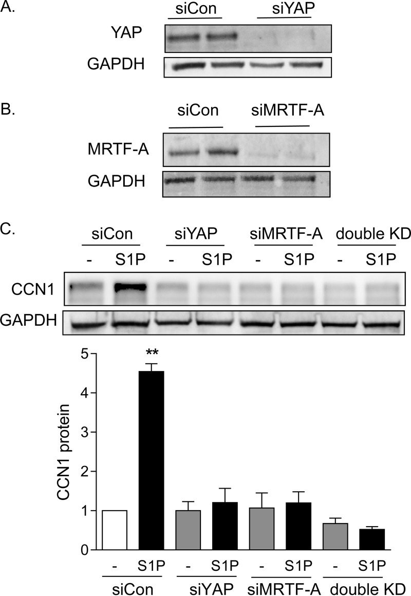 FIG 4