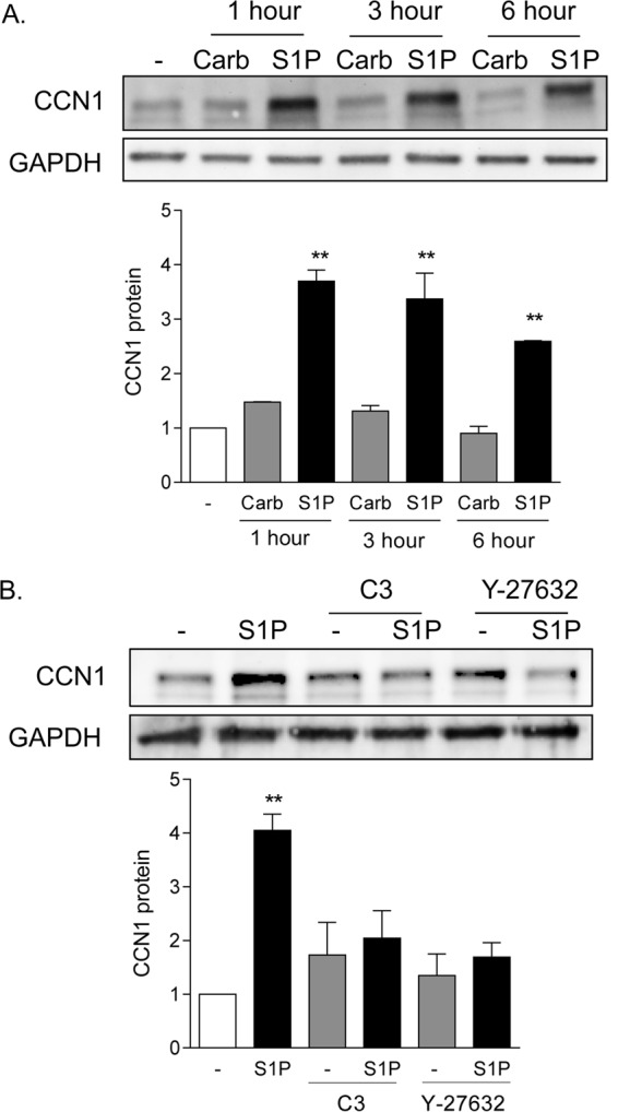 FIG 1