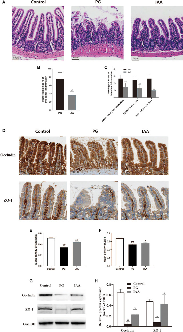 Figure 3