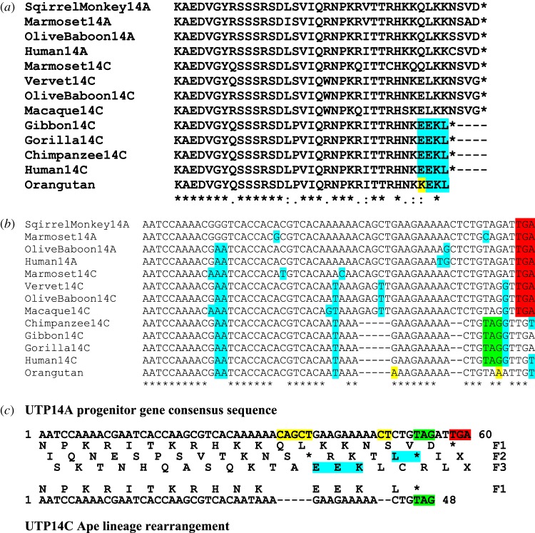 Figure 6.