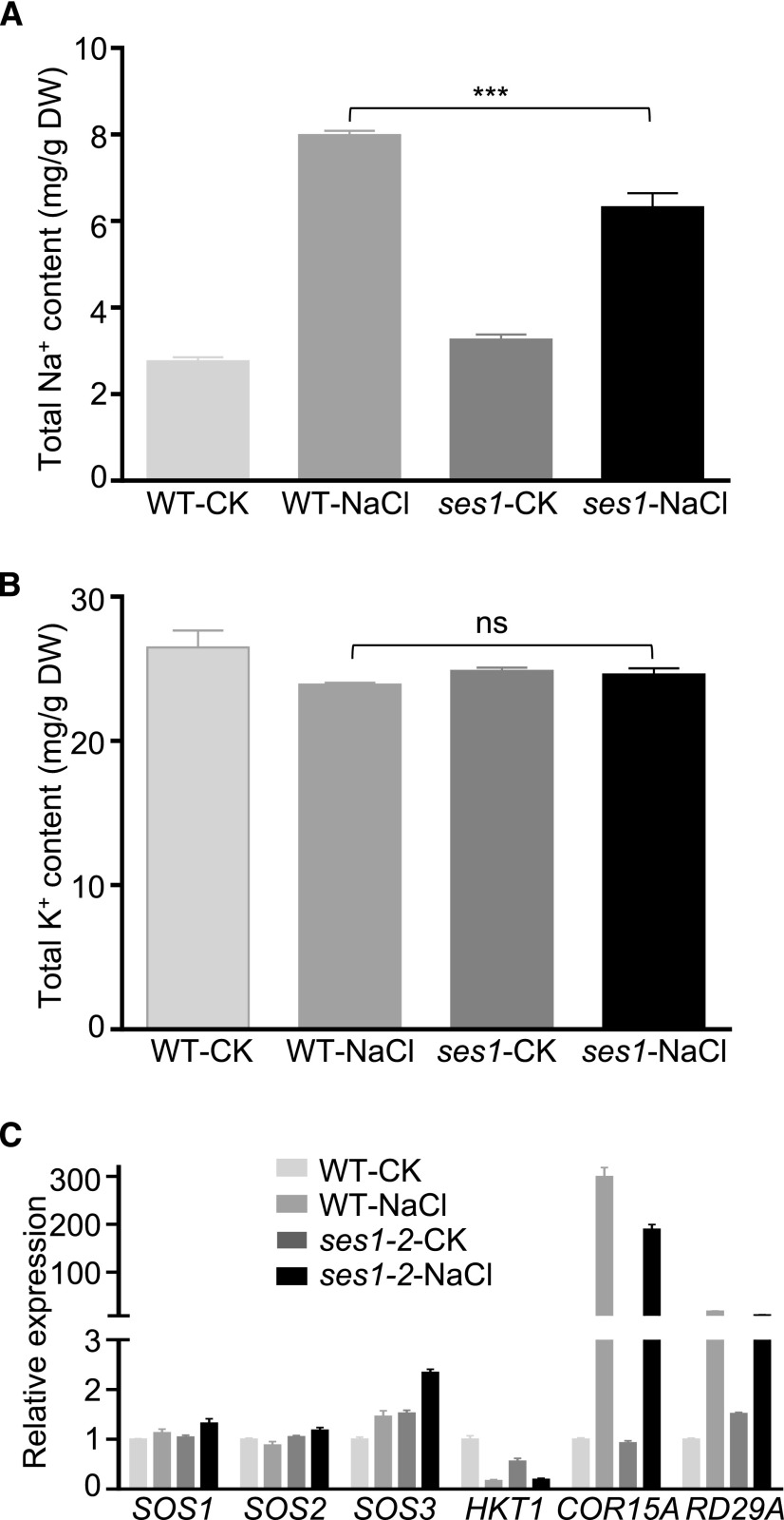 Figure 5.