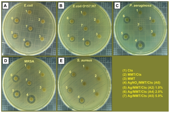 Figure 11