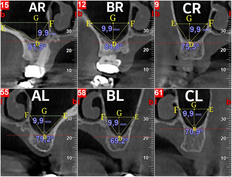 Fig. 3