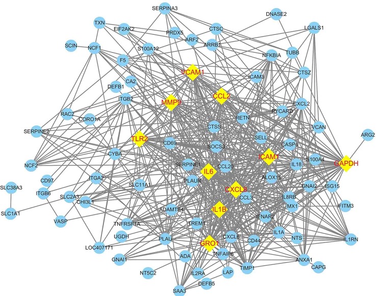 Figure 4