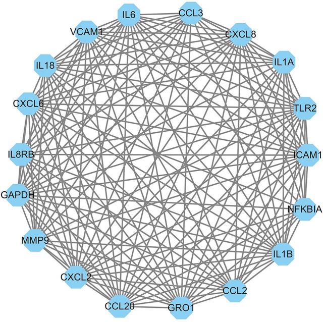 Figure 5