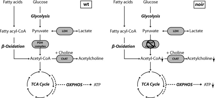 Figure 9.