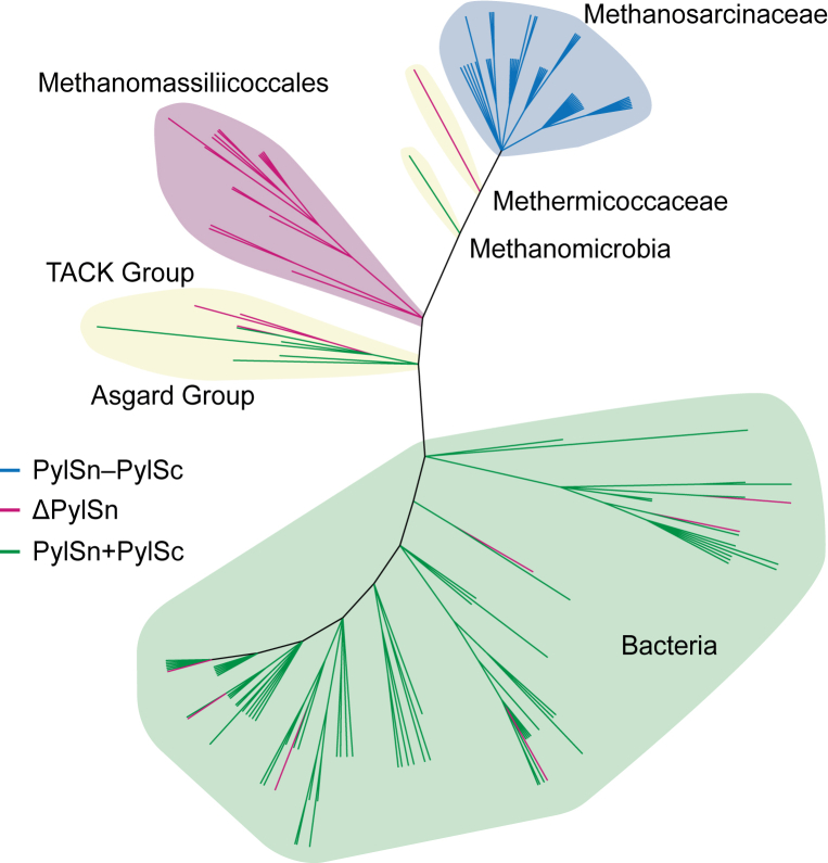 Figure 4