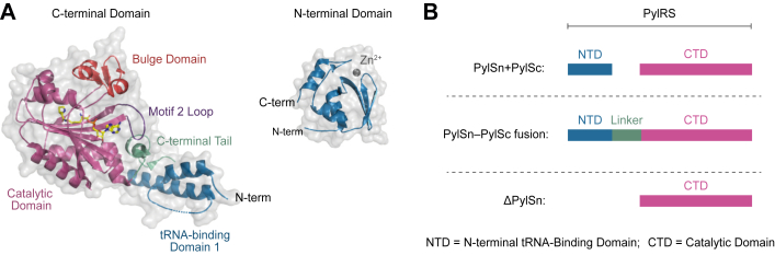 Figure 2