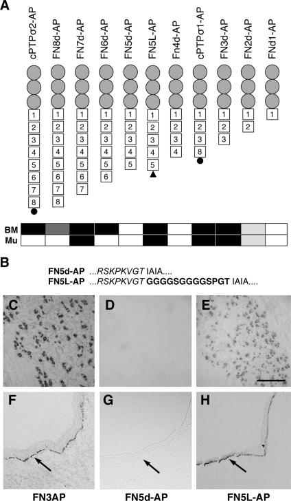 FIG. 8.