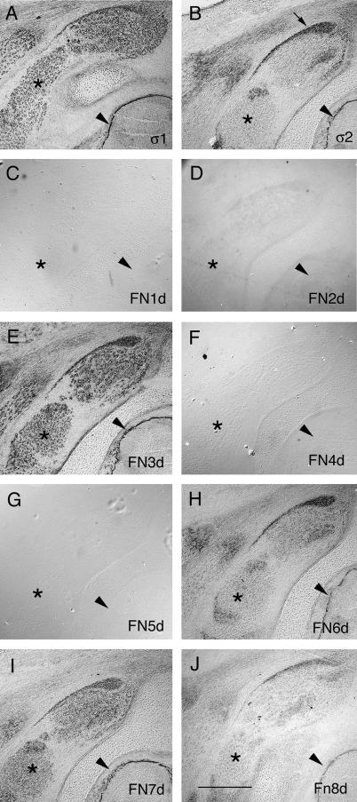 FIG. 7.