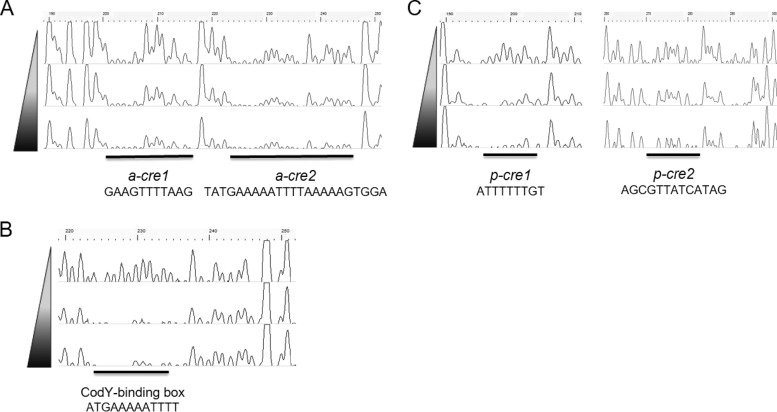 FIG 5