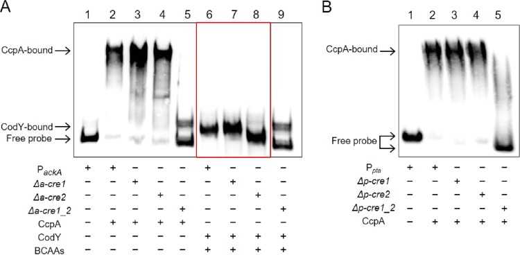 FIG 6