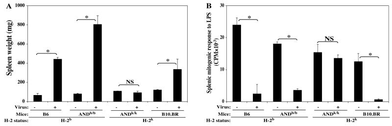 FIG. 6