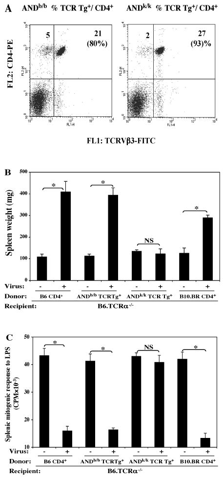 FIG. 7