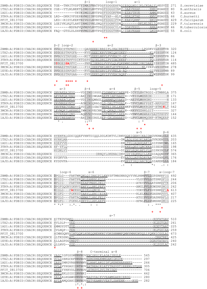 Fig. 3