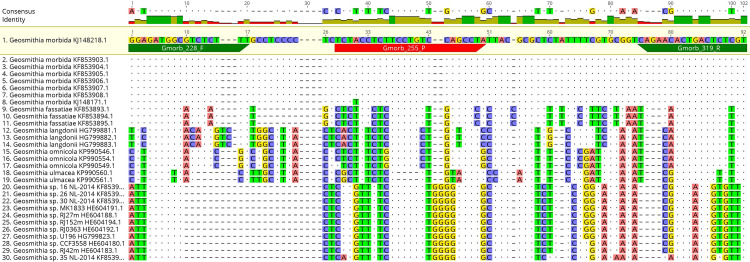 Fig 2