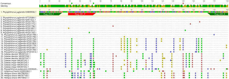 Fig 4