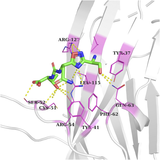 FIGURE 2