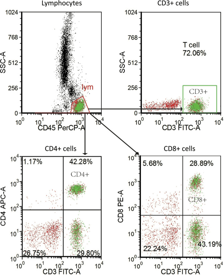 Figure 2