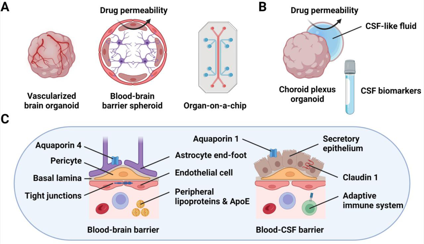 Figure 3: