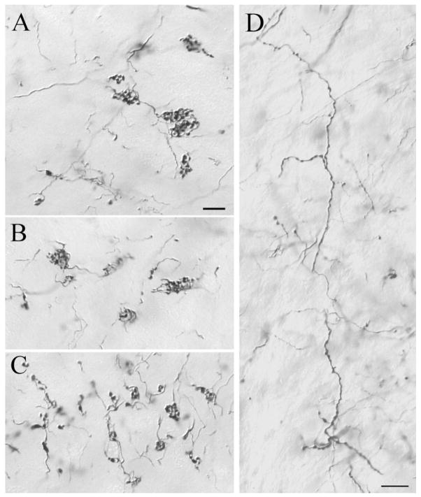 Fig. 9