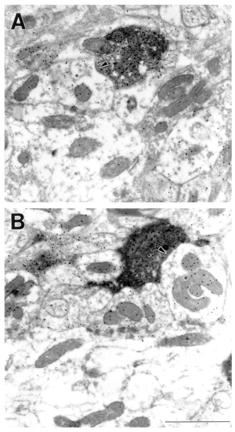 Fig. 14