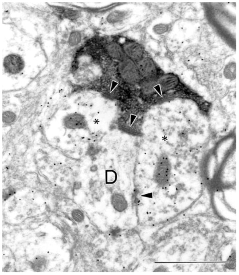 Fig. 13