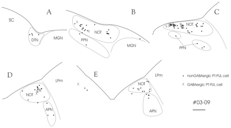 Fig. 17