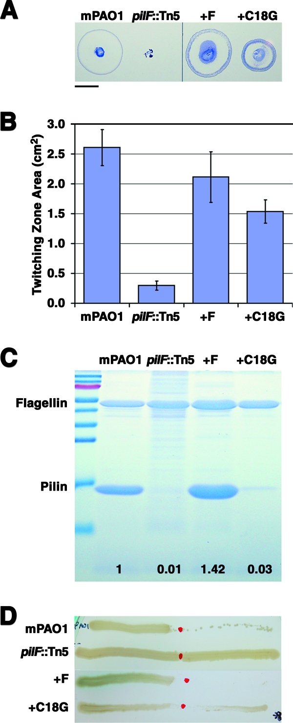 FIG. 3.