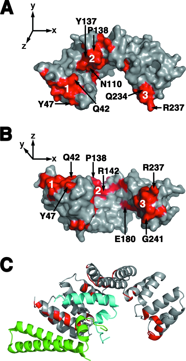 FIG. 6.