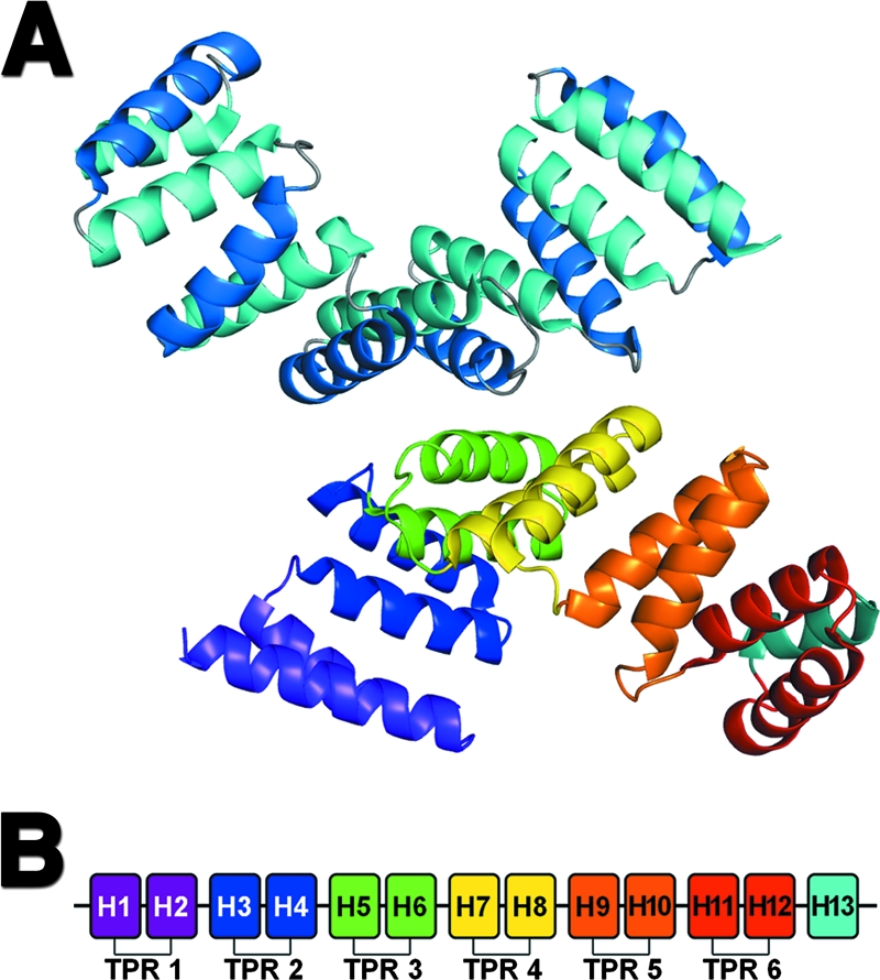 FIG. 4.