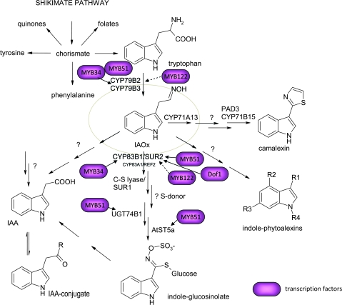 Figure 2.