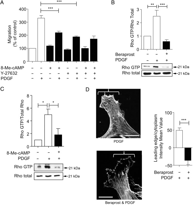 Figure 6