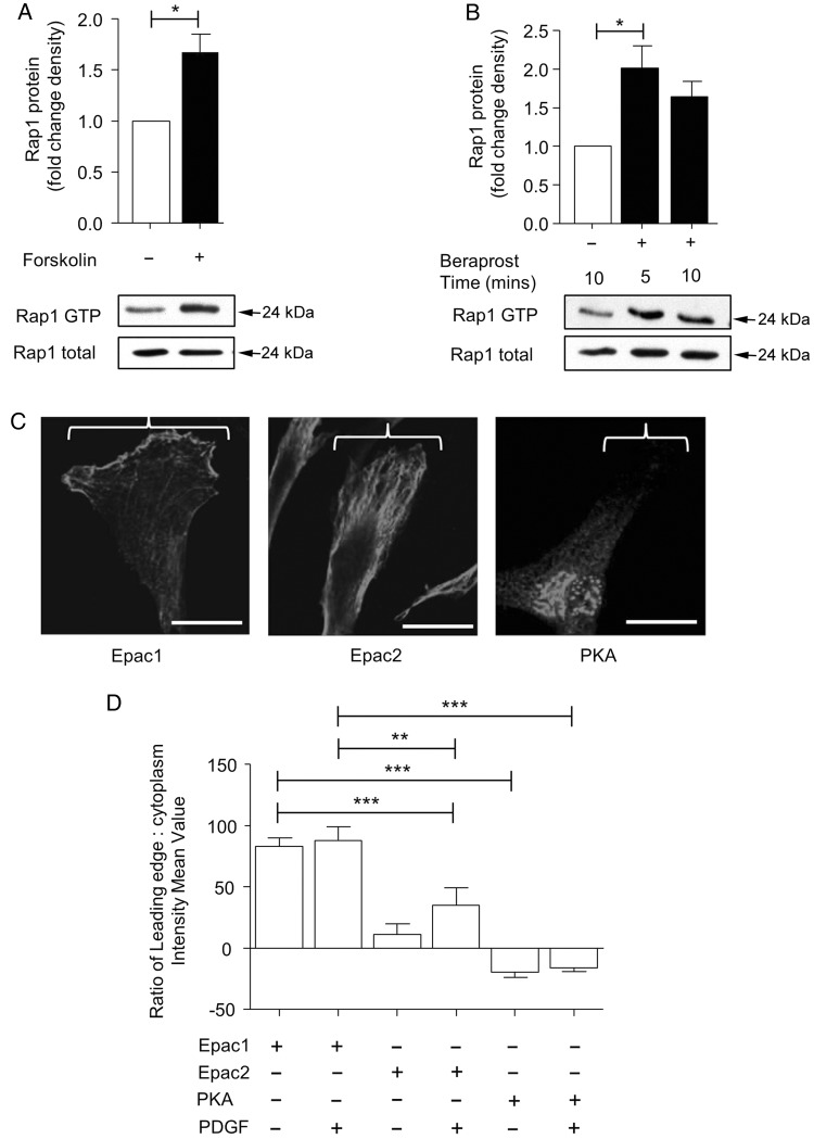 Figure 5