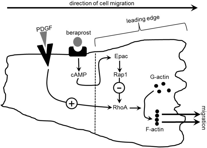 Figure 7