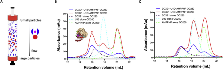 Figure 4