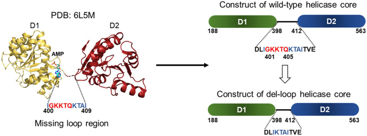 Figure 1